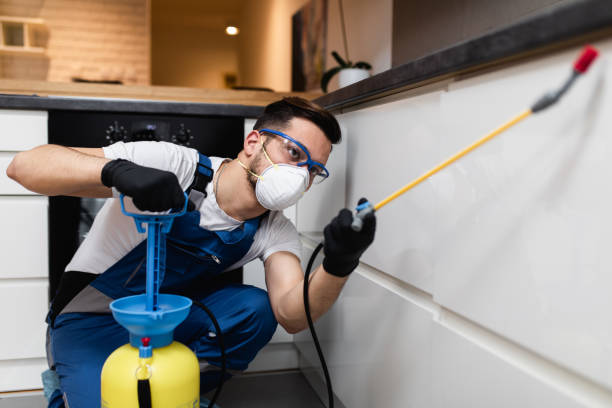 Best Wildlife Control Services  in Derby, CO