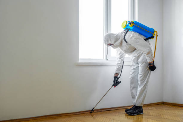 Best Affordable Pest Control Services  in Derby, CO