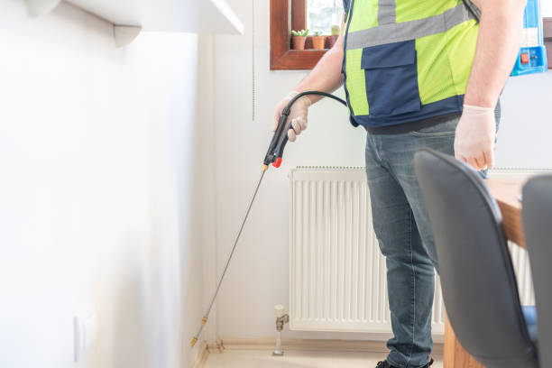 Professional Pest Control in Derby, CO