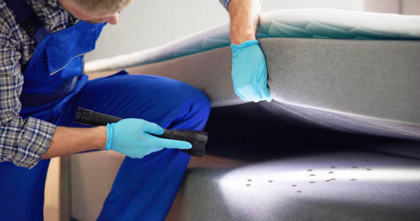 Best Mosquito Control Services  in Derby, CO