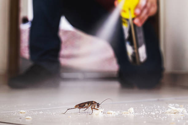 Best Pest Control Treatment  in Derby, CO