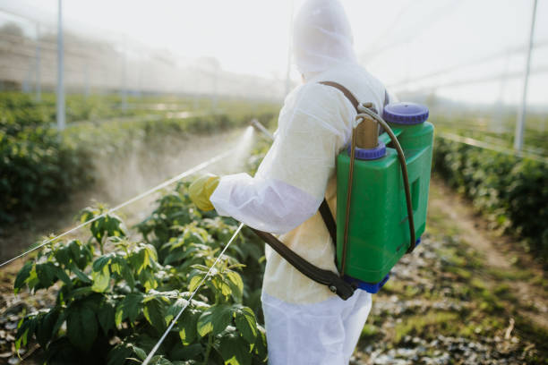 Best Local Pest Control Services  in Derby, CO